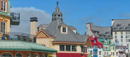 Dynamic Content Image